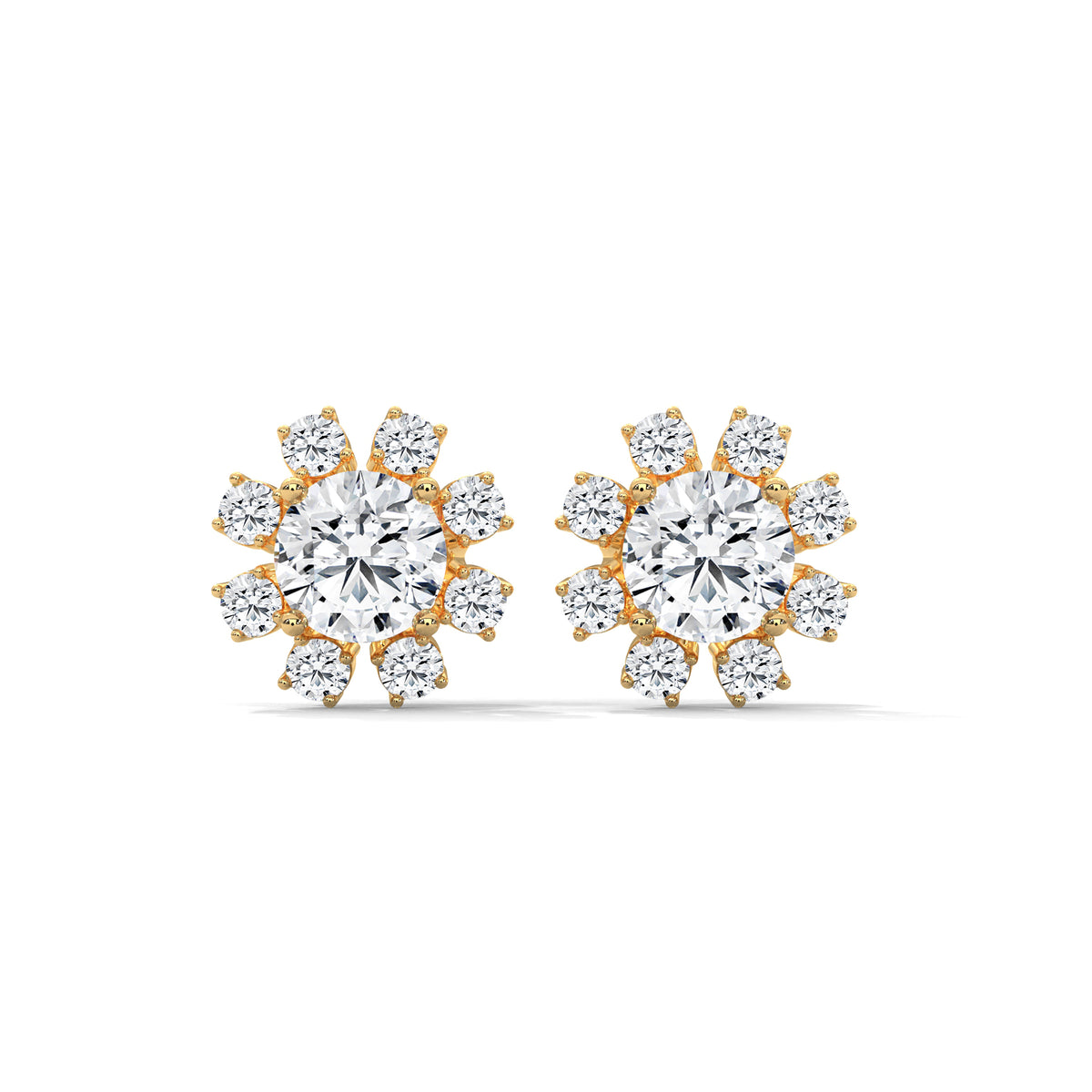 Stellar Bloom Cluster Studs