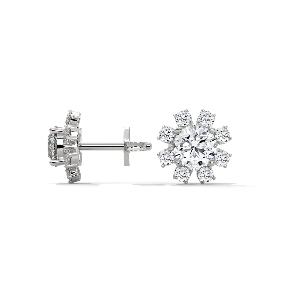 Stellar Bloom Cluster Studs