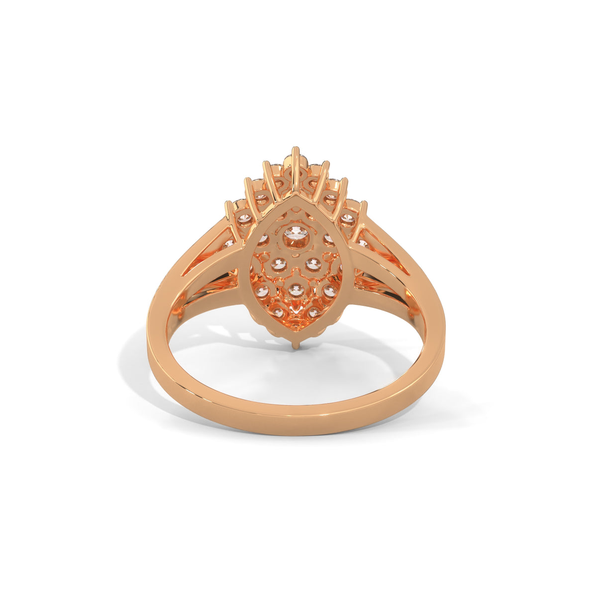 Stellar Bloom Cluster Ring