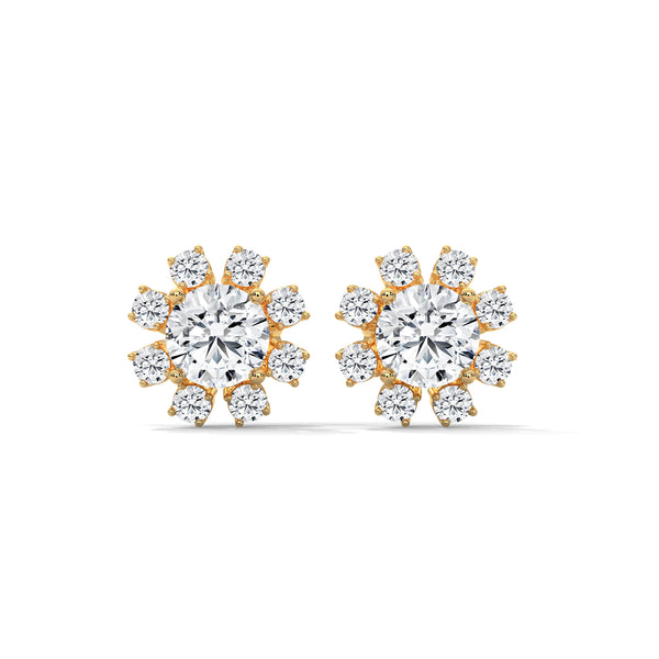 Stellar Bloom Cluster Studs