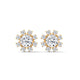Stellar Bloom Cluster Studs
