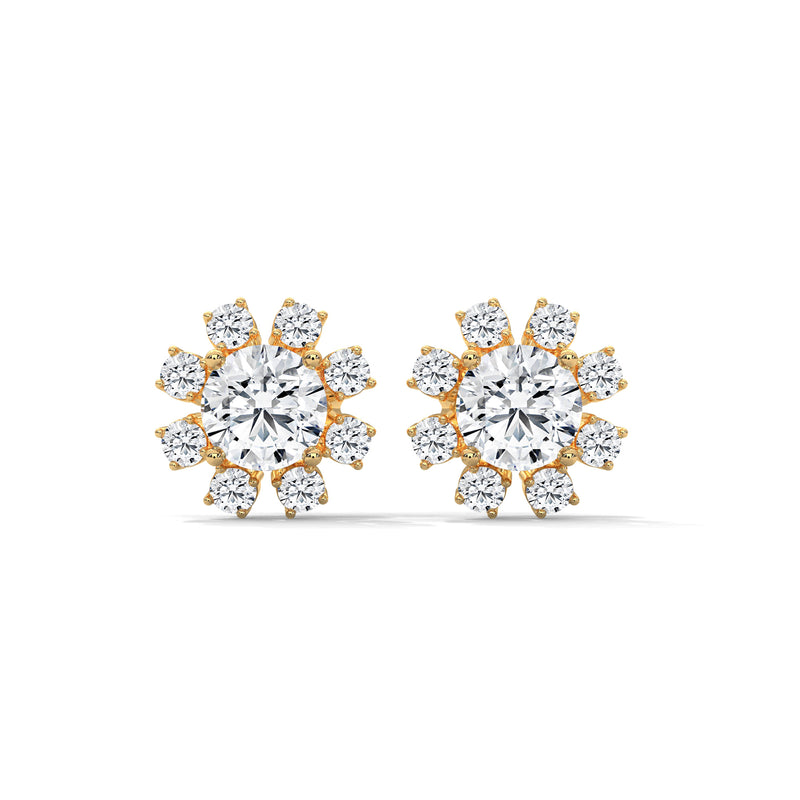Stellar Bloom Cluster Studs