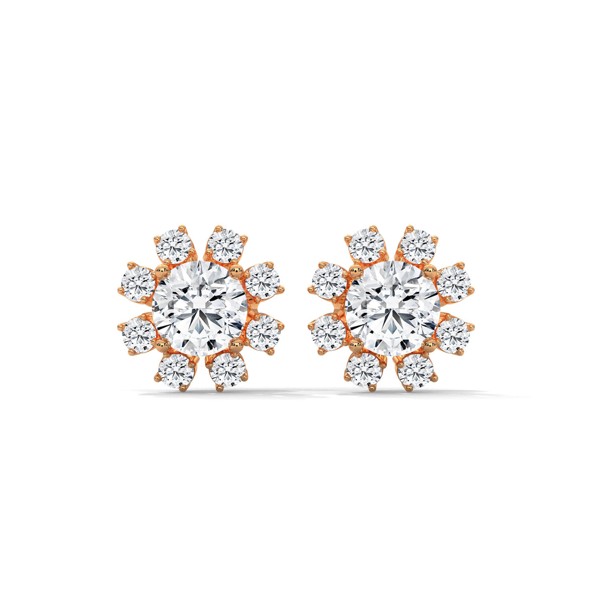 Stellar Bloom Cluster Studs