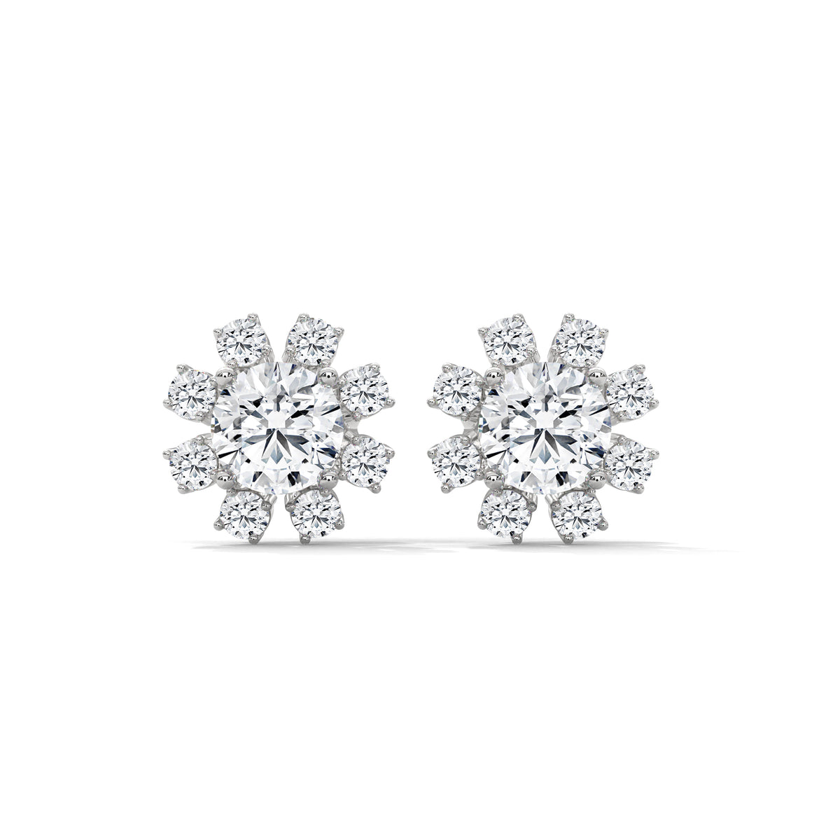 Stellar Bloom Cluster Studs