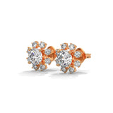 Stellar Bloom Cluster Studs
