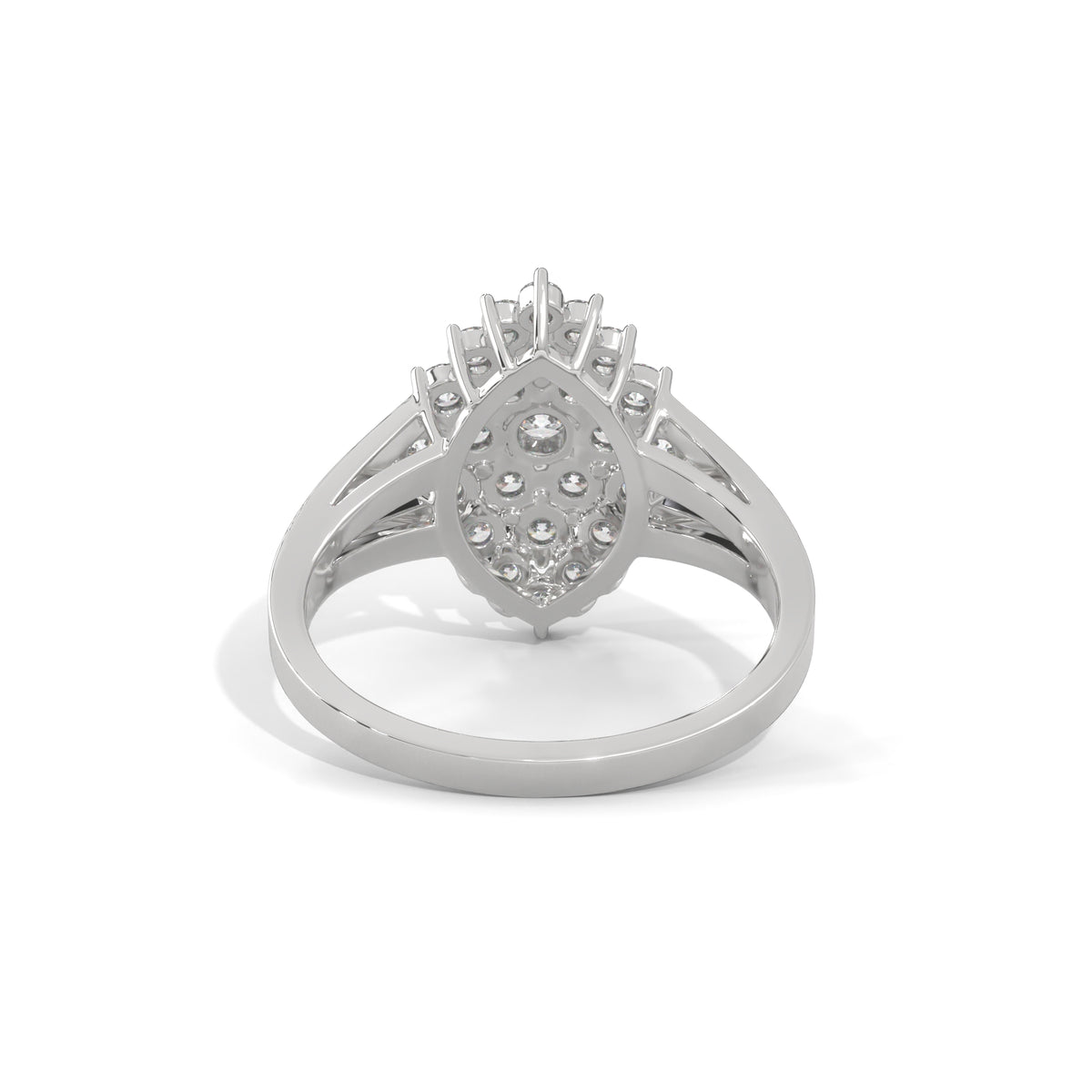 Stellar Bloom Cluster Ring